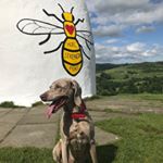 Profile Picture of Damien Chapman (@damien.chapman) on Instagram