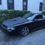 Profile Picture of Sean Torrey (@seantorrey) on Instagram