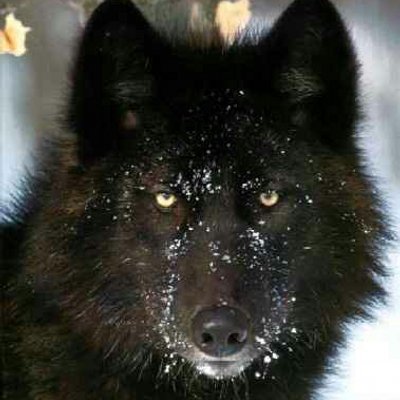 Profile Picture of Daniel Gonzalez Coca (@DanielCoca7) on Twitter