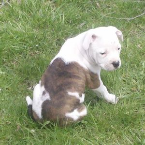 Profile Picture of Neil Bayley (@flatted3rd) on Myspace