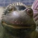 George Dimitropoulos - Instagram Profile Picture of George Dimitropoulos (@g_dimi123) on Instagram