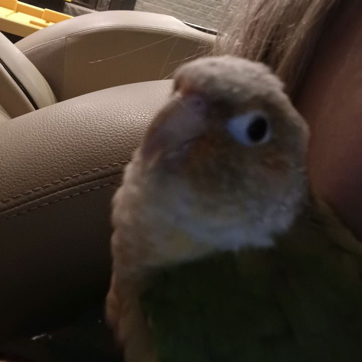 Profile Picture of Eric or Row (@lawnhermit) on Tiktok