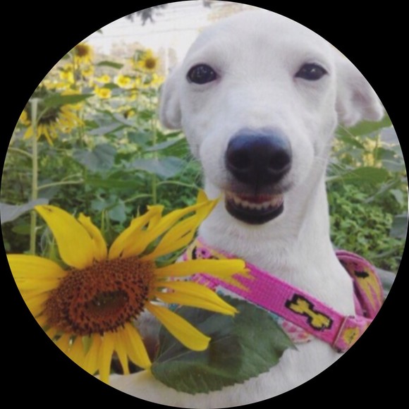 Profile Picture of Darrell Nunn (@darrellnunn) on Poshmark