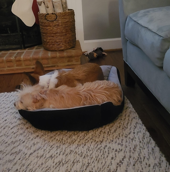 Profile Picture of Kristen Sarna (@kristensarna) on Poshmark