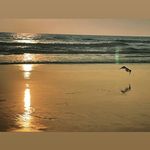 Profile Picture of Erick Zapata (@e.zeta.villa) on Instagram