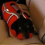 Profile Picture of Carol Yoder Priestley (@cay2181) on Instagram