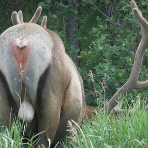 Profile Picture of Sara Oster (@sierranicola) on Myspace