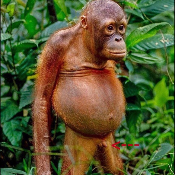 Profile Picture of Antonio Ayala (@tonecamry2) on Poshmark