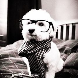 Profile Picture of CASSEY (@_jilliancassidy) on Twitter