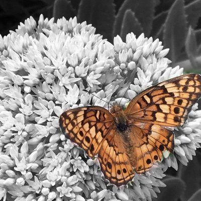 Profile Picture of James Aubrey Willis (@Jameson_98) on Twitter