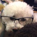 Profile Picture of Tom Edmonds (@tom8509) on Instagram