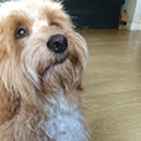 Profile Picture of Molly Driver (@molly-driver-8) on Quora