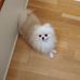Profile Picture of Nan Long (@nan.long.3572) on Facebook