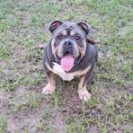 Profile Picture of Robert Aldaco (@Robert-Aldaco) on Facebook