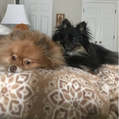 Profile Picture of Janet Hall (@JanetHa30781198) on Twitter