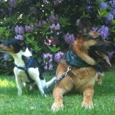 Profile Picture of Sandra Boot (@basco36) on Twitter