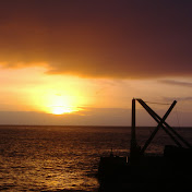 Profile Picture of Nuno Medeiros (@nunomedeiros7817) on Youtube