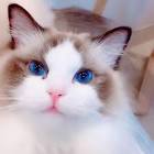Profile Picture of   Sothy Lysovandy... (@SothyLysovandy) on Tiktok