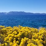 Profile Picture of Cindy LeMoine (@cwldesigns_photos) on Instagram