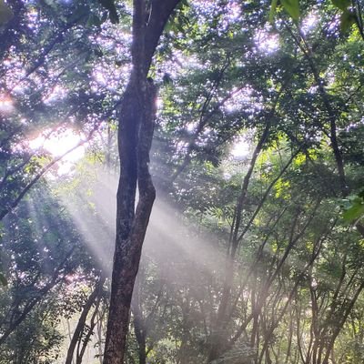 Profile Picture of Basil George P (@BasilGeorgeP1) on Twitter