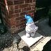 Profile Picture of Peter Mcdermott (@peter.mcdermott.37853) on Facebook