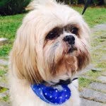 Profile Picture of toby_best (@toby_best) on Instagram