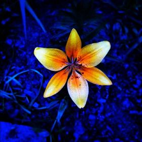 Profile Picture of Cierra Atherholt (@Ceerose89) on Pinterest