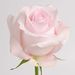 Profile Picture of b.m.scott (@jillian_frieri) on Pinterest
