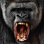 Profile Picture of Nicholas Liberato (@gorilladicknick3) on Instagram