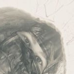 Profile Picture of Codie Stevenson (@codie.stevenson.56) on Instagram