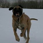 Profile Picture of Jeff Yoon (@yoon.jeff) on Instagram