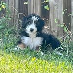 Profile Picture of Nancy Suhre Boyd (@nancy_ruth_) on Instagram