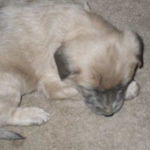 Profile Picture of Anton Tate (@326722963) on Myspace