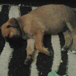 Danny Bartholomew - Instagram Profile Picture of Danny Bartholomew (@dannybartholomew) on Instagram