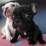 Profile Picture of Doffek Jan (@doffekjan) on Instagram