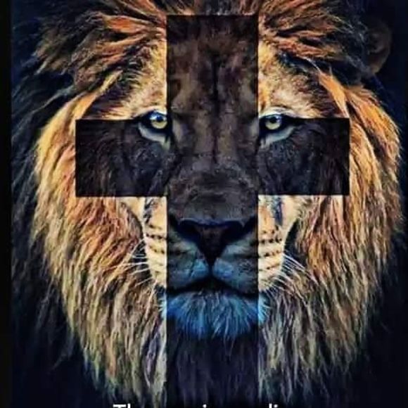 Profile Picture of Edward Skinner (@lilmavjr) on Poshmark