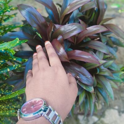 Profile Picture of Anisha Sam (@Anishasam2) on Twitter