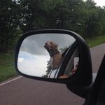 Profile Picture of Gerald Dobson (@gdobsoncme) on Instagram