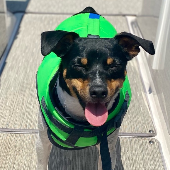 Alexis Hinman - Poshmark Profile Picture of Alexis Hinman (@alexis_hinman) on Poshmark