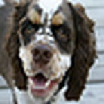 Kim&jj - Flickr Profile Picture of Kim&jj (@kim&jj) on Flickr