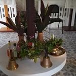 Profile Picture of Janet Edwards (@janetedwards6302) on Instagram