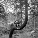 Profile Picture of McKayla Jolene (@mckaylajw) on Instagram