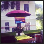 Profile Picture of Bobby Miner (@devicornonl) on Instagram