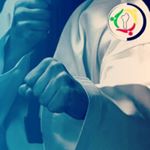 Profile Picture of Hector lee Tkd 🏋⚓ (@avihhectorleetkd) on Instagram