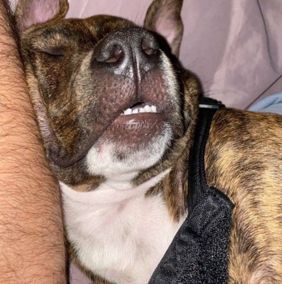 Profile Picture of John Gallagher (@j_gallagher93) on Poshmark