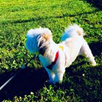 Profile Picture of Eliot Lee (@lil._.eli0ttt) on Instagram