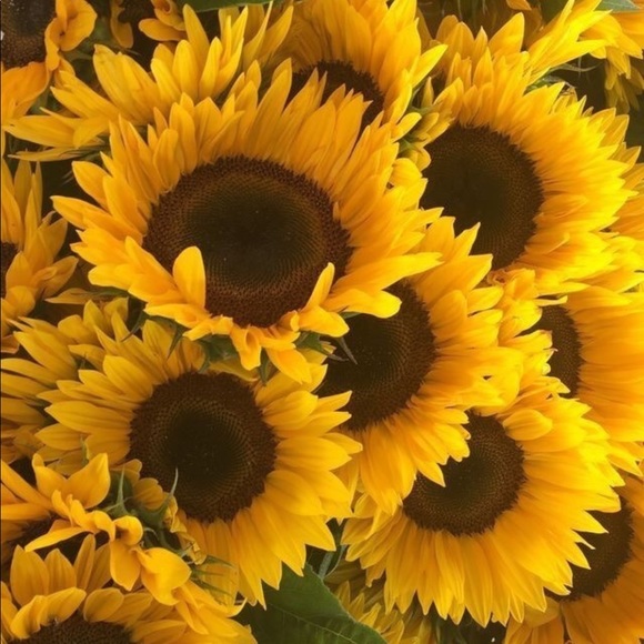 Profile Picture of Alliyah Chamberlain (@alliyahxc) on Poshmark