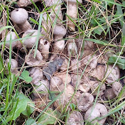 Profile Picture of Steven Leighton (@RunManJustRun) on Youtube