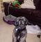 Profile Picture of Alana Matthews (@alana.matthews.923) on Facebook