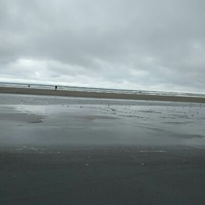 Profile Picture of Jeff Dyer (@JeffDye48801286) on Twitter